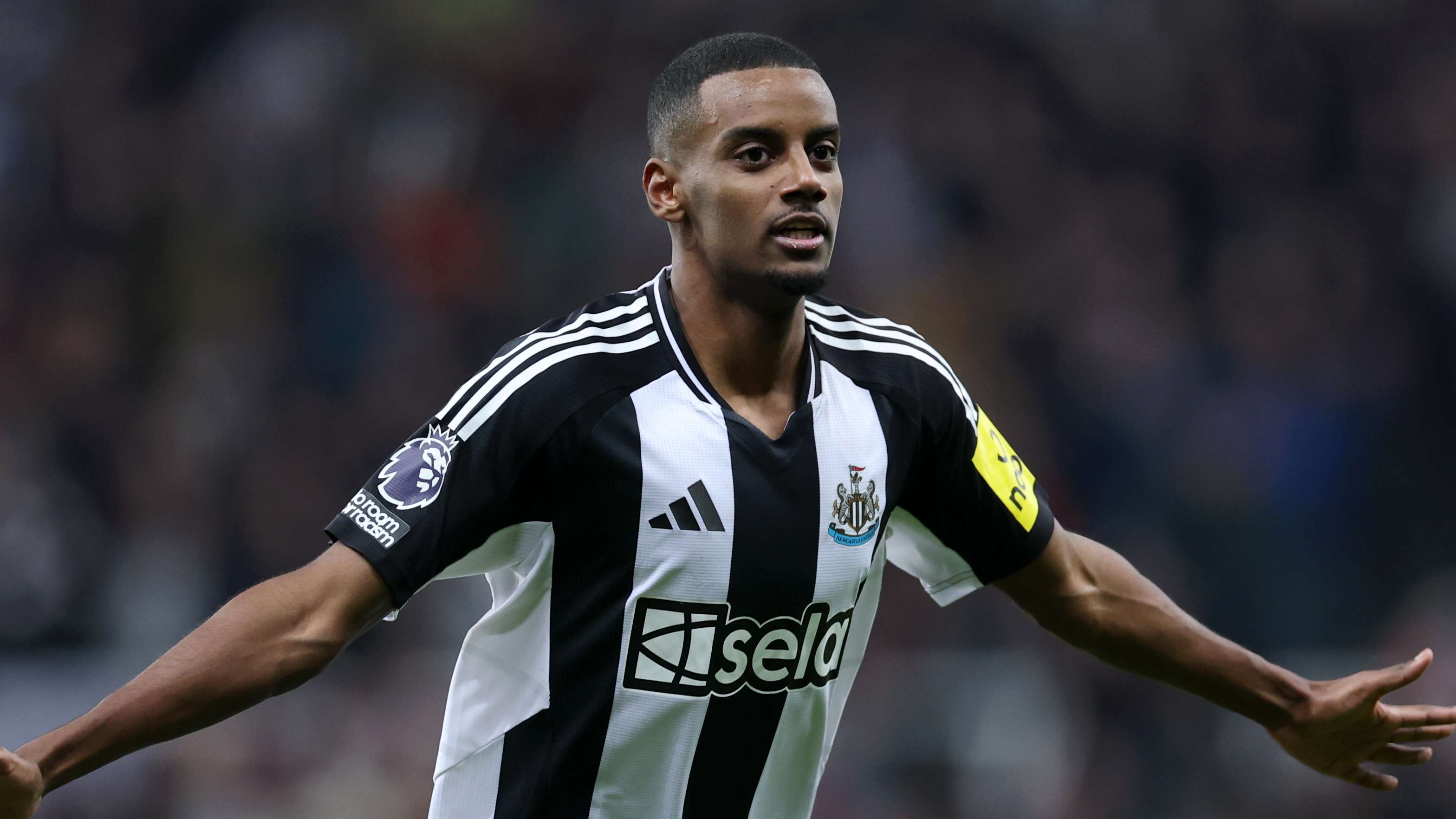 都展现出了 都展现出了